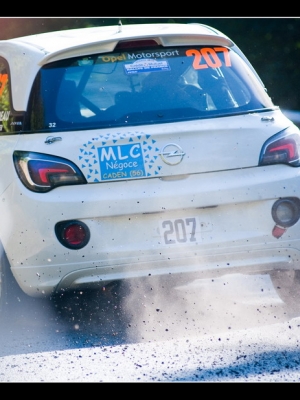 Rallye-wrc-alsace-2014-13.jpg