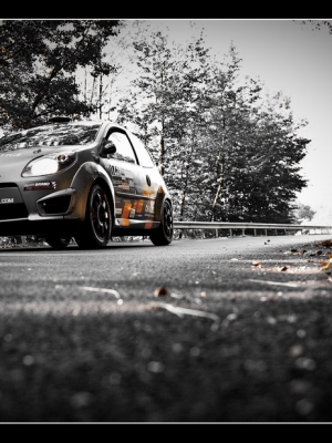 Rallye-wrc-alsace-2014-15.jpg